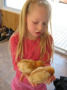 my daughter - children's thoughts on homeschooling - raising chicks