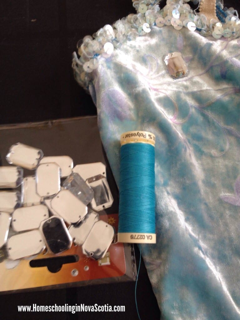 Frozen Elsa costume