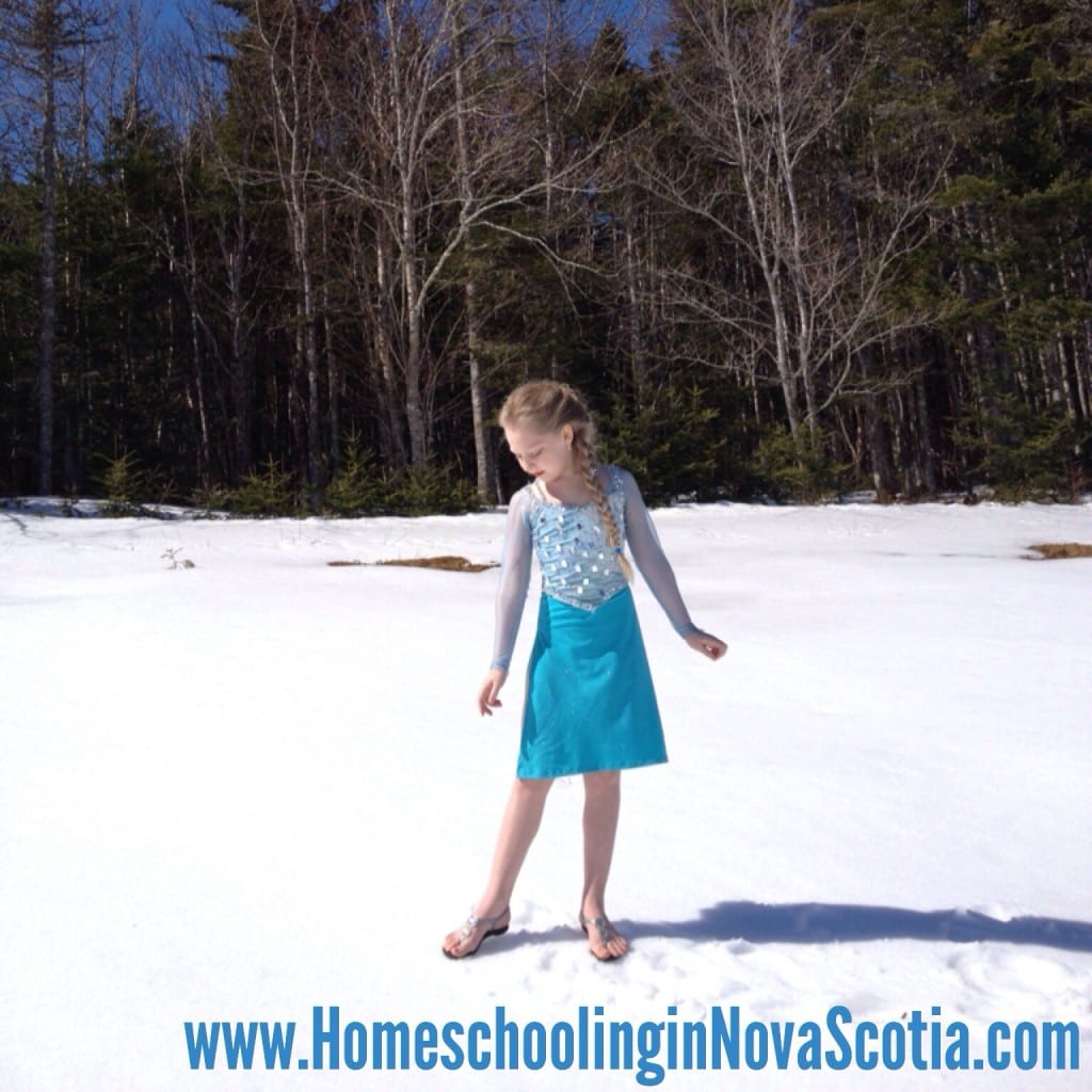 Frozen Elsa costume