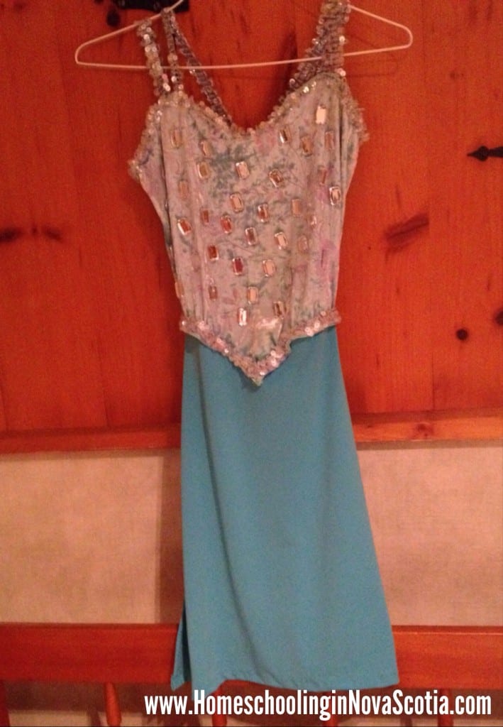 Frozen Elsa costume