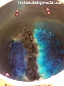 spinning and dyeing