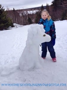 Build a snow pony