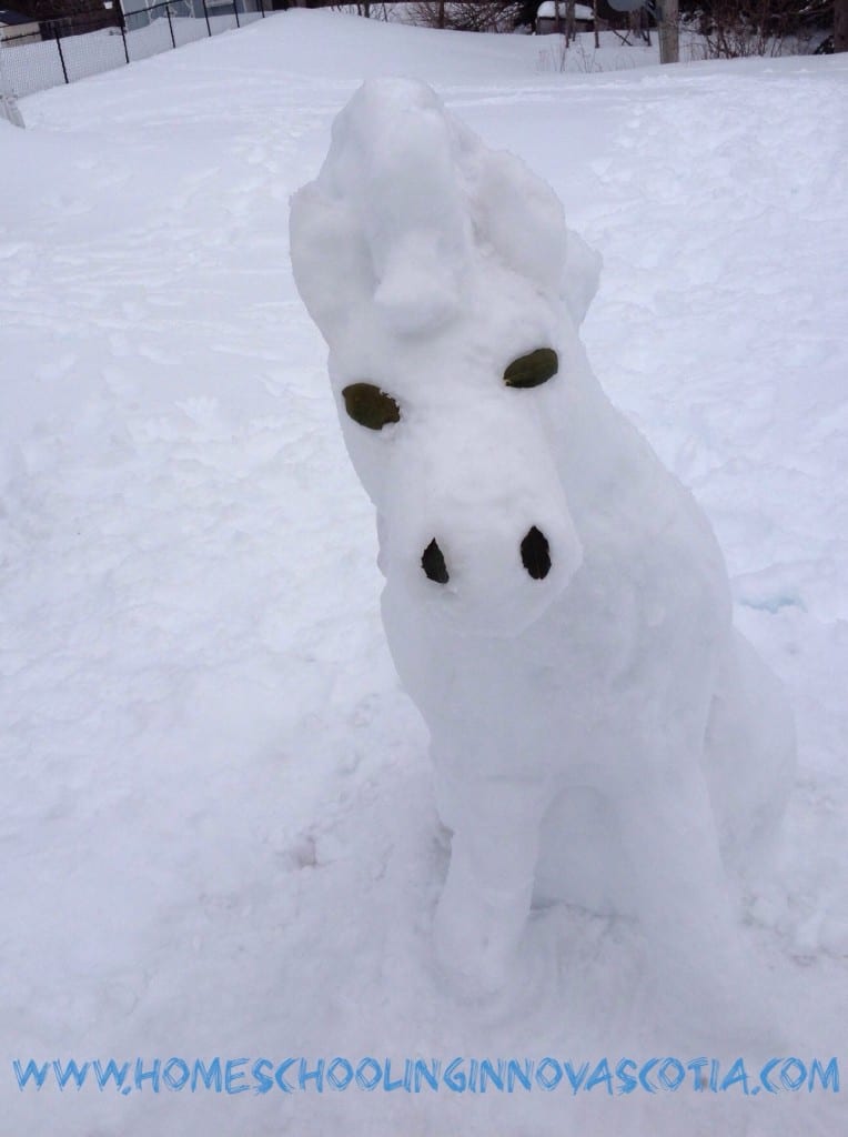 build a snow pony