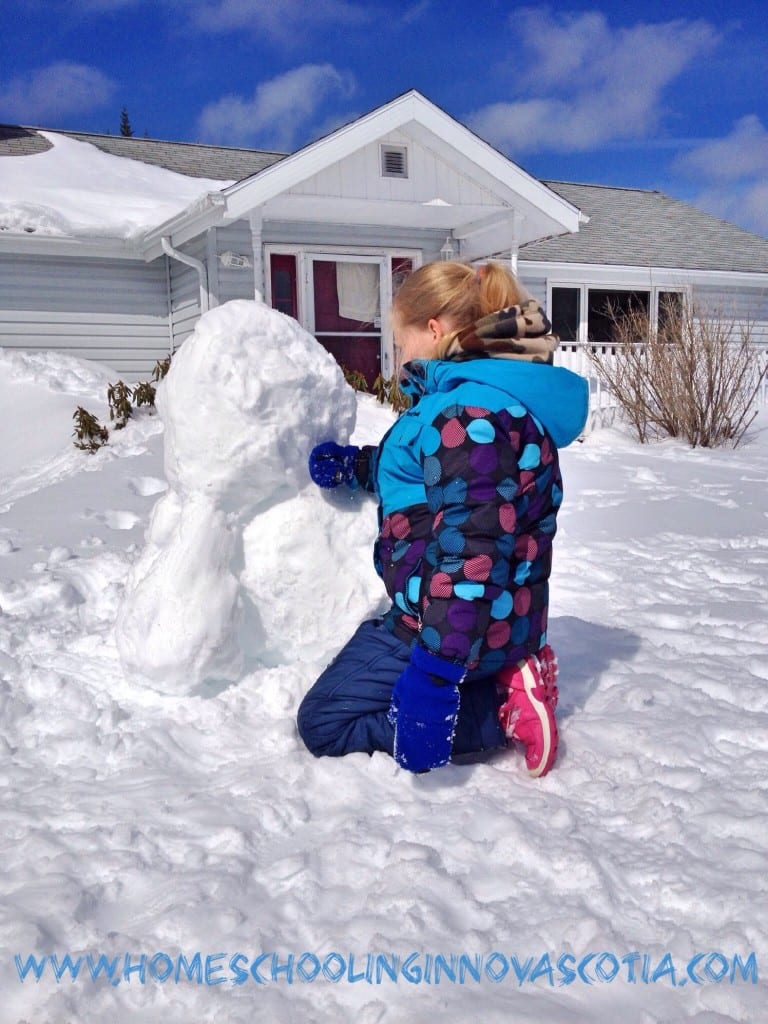 Build a snow pony