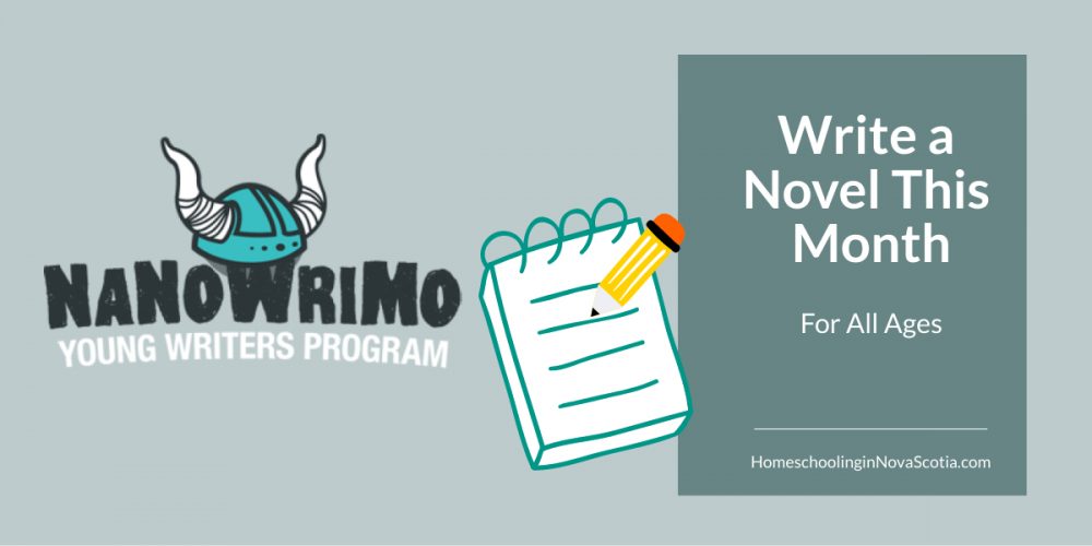 write a novel this month - nanowrimo