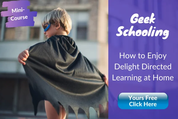 geek schooling mini-course